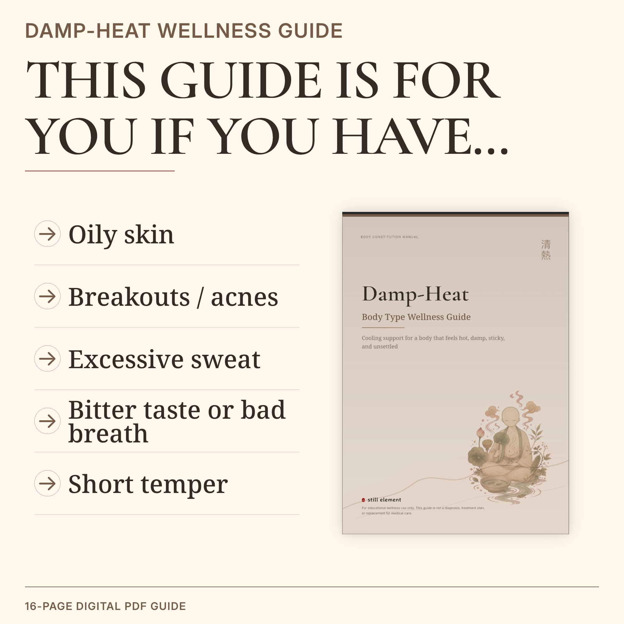 Damp-Heat Body Type Wellness Guide