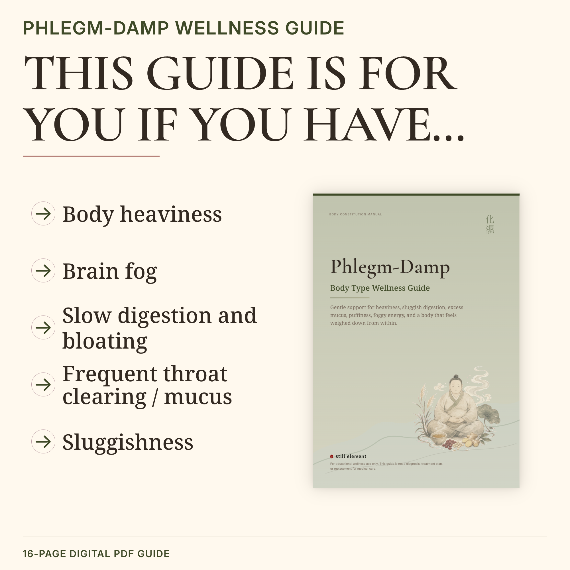 Phlegm-Damp Body Type Wellness Guide
