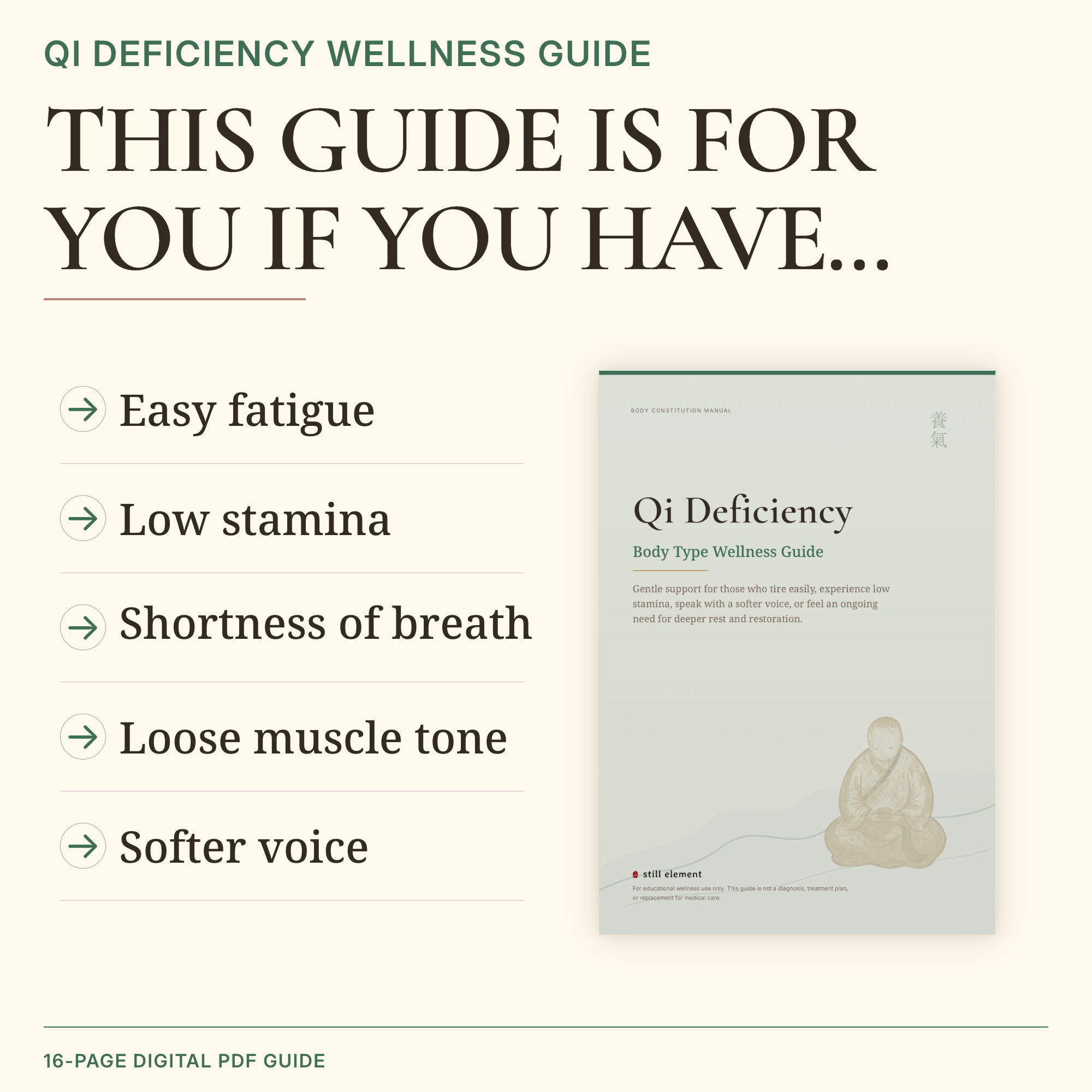 Qi Deficiency Body Type Wellness Guide