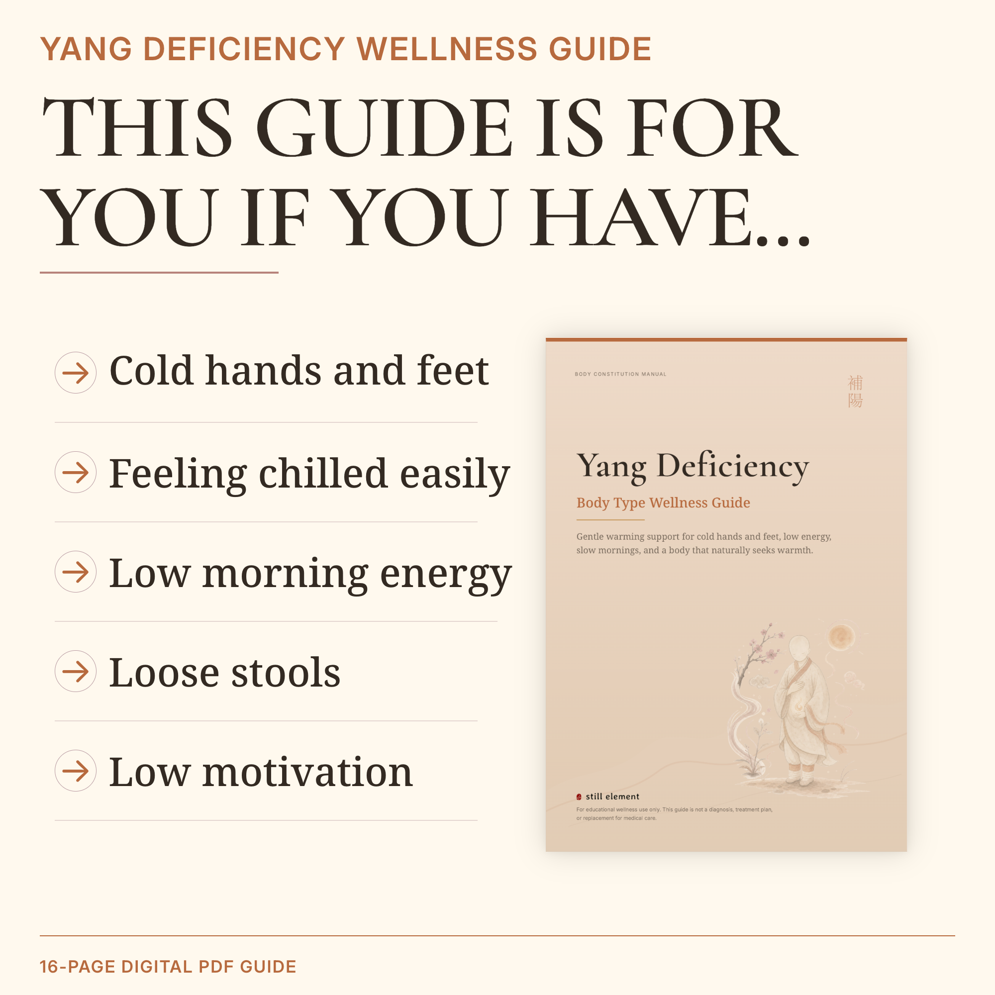 Yang Deficiency Body Type Wellness Guide